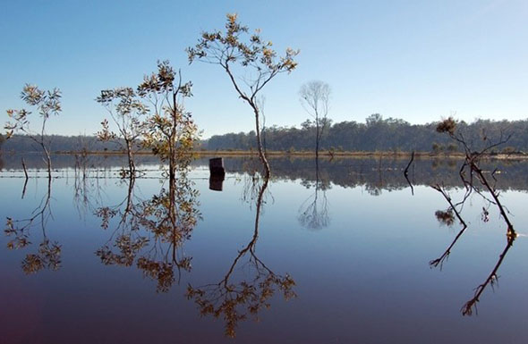 East Coast 4WD hire - Wongi State Forest 4WD Drive