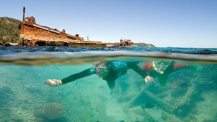 Snorkel Moreton Island Snorkel Moreton Island
